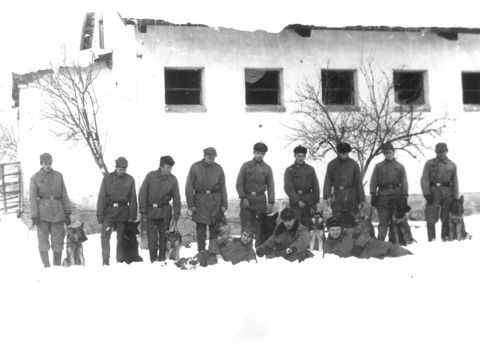 Foto 12